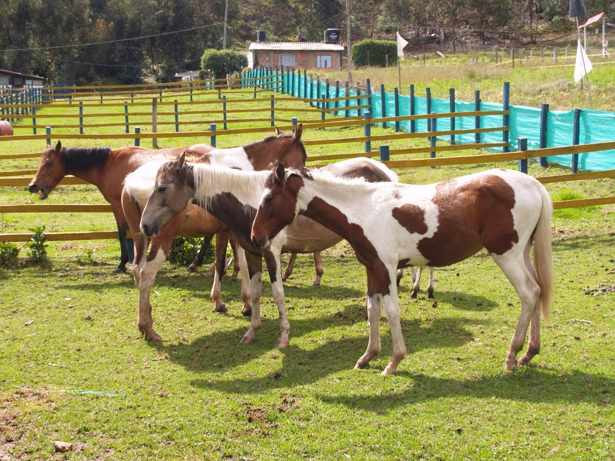 Hotel Rural La Esperanza سويسكا المظهر الخارجي الصورة